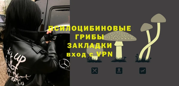 сатива Алзамай