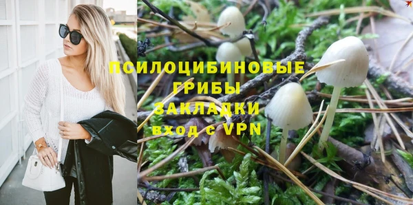 стаф Алексеевка