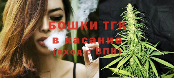 сатива Алзамай